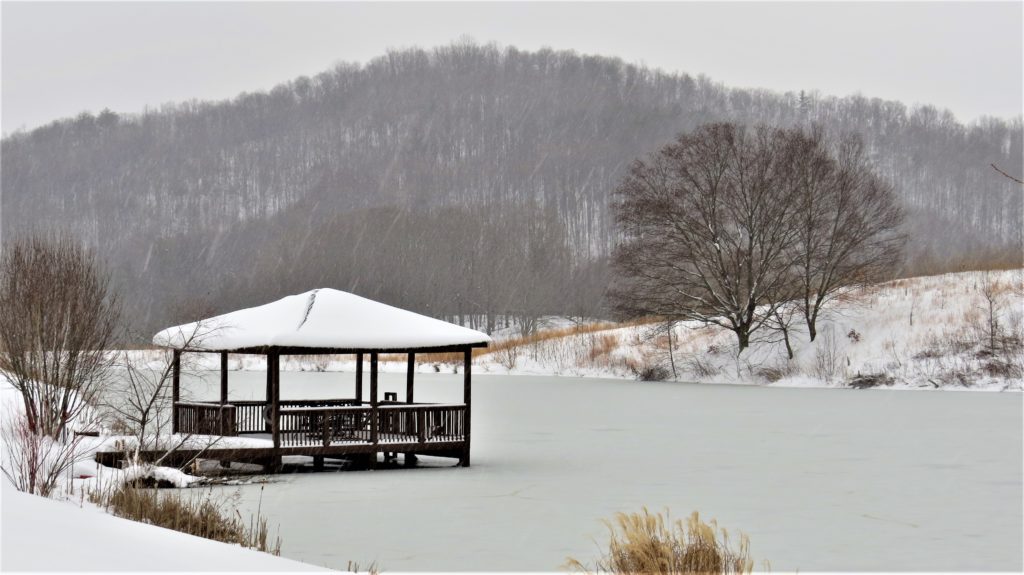Dock in Snow 0214 (2)